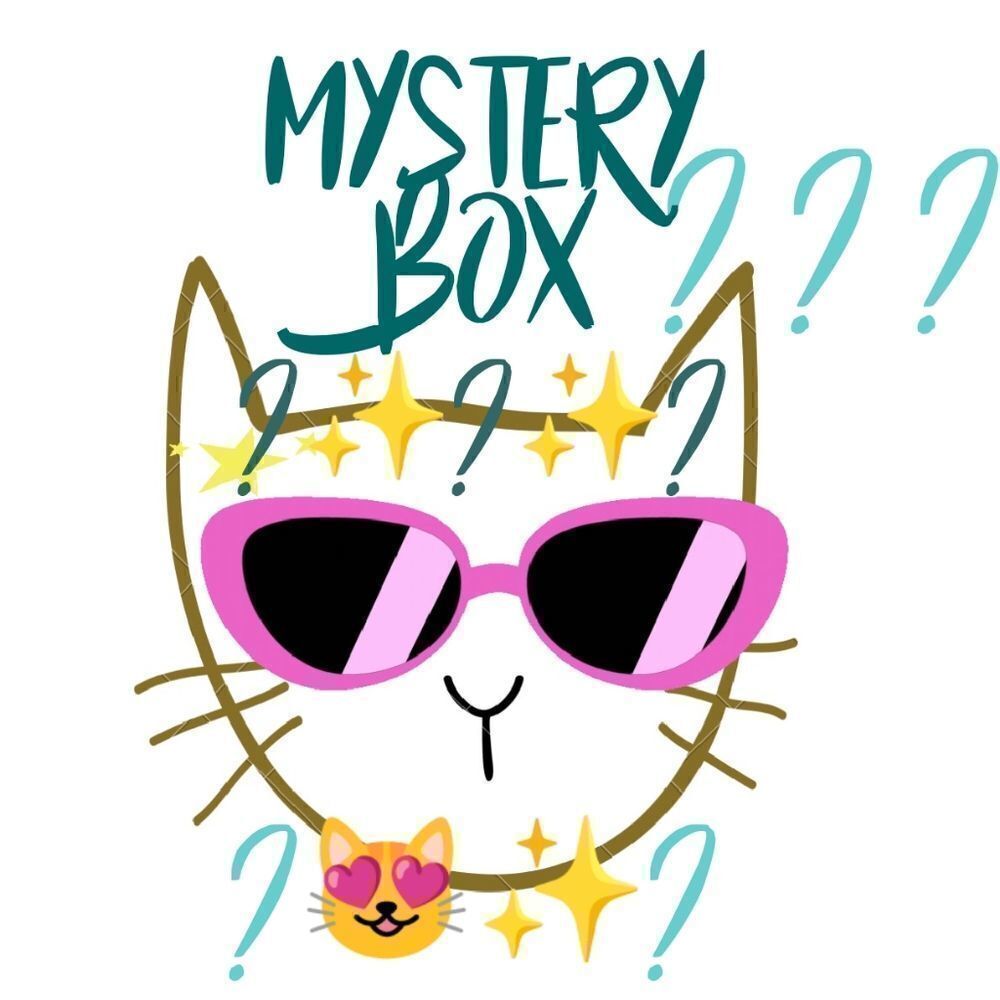 Kitty Cat Themed Mystery Fun Box for Cat Mom and Cats
